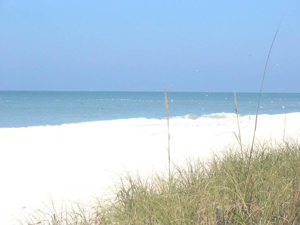 Hotel Twin Palms At Siesta Siesta Key Esterno foto